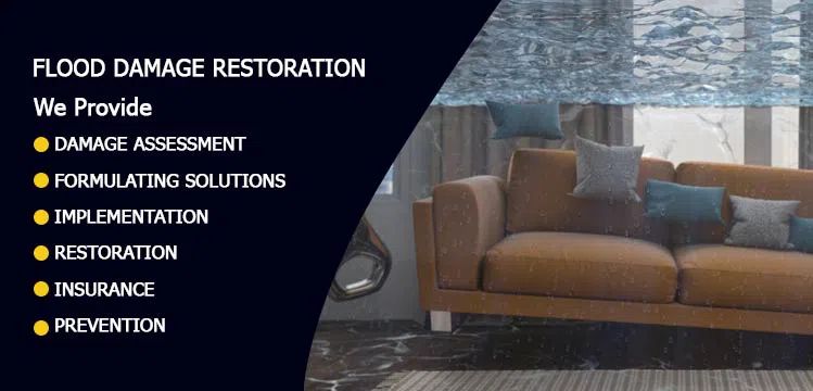 #bslide2 logo-image - banner-2