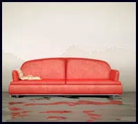 Greenacres Restoration Expert Greenacres, FL 561-336-5819 Greenacres Restoration Expert Greenacres, FL 561-336-5819 - flood-sidebar