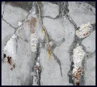 Greenacres Restoration Expert Greenacres, FL 561-336-5819 Greenacres Restoration Expert Greenacres, FL 561-336-5819 - water-leaks-sidebar